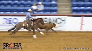 Clinton Anderson and Hulk: 2020 SRCHA Pre-Futurity Cow Work