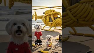  A cat destroyed the banana helicopter built by a poor dog and his puppy and made fun of them
