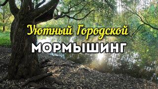 ТИХИЕ Городские ПРУДЫ. Летняя Прогулка в поисках КАРАСЯ #мормышинг #стритфишинг #nanojig #city