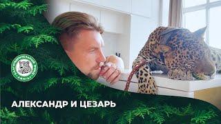 Выпуск 88.  Александр и  Цезарь.