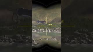 Mrs. DCVirtualEOutdoors goes hunting! #thehuntercotw #thehunter #hunting #cotw #gaming #shorts