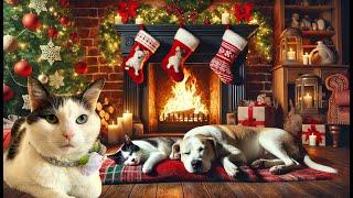 Enjoy the Sights and Sounds of Beautiful Christmas Cats Purring & Dogs by Crackling Fireplaces