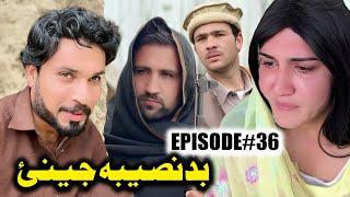 BADNASEEBA JENAY  EPISODE 36 NEW SERIAL DRAMA  BY GULL KHAN VINES 2025