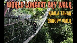 Jambatan Gantung Terpanjang di dunia. world longest skywalk. Canopy Walk Kuala Tahan.