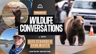 NEW Grizzly 399 Documentary & Her Impact on the Tetons+World | A Chat with Alex Stavrou & Evan Watts