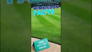 The science behind the PERFECT Wimbledon grass #tennis