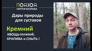 Кремний для суставов от асептического некроза и остеопороза. Хвощь, крапива и сныть для суставов.