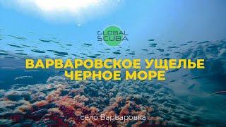 Дайвинг в Анапе | Варваровское ущелье | Обитатели Черного моря