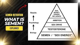 What Is Semen?