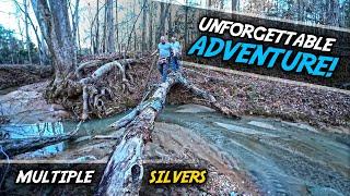 Unforgettable Metal Detecting Adventure at Remote Spot Hidden Deep in The Forest!