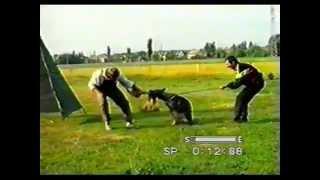 Дрессировка Schutzhund, Венгрия