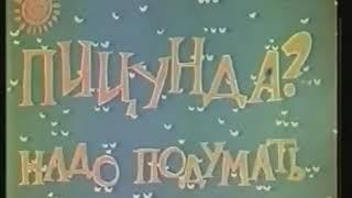 Пицунда   назад в СССР! Абхазия 1968