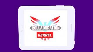 The Collaboration Kernel