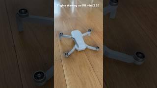Engine starting on DJI mini 2 SE  #game ￼ #gaming #amnewbutnottheleast #gamefeel #moregame #roblox