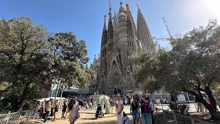 Sagrada Familia в прямом эфире!