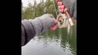I Made ONE FLY CAST...& THIS HAPPENED