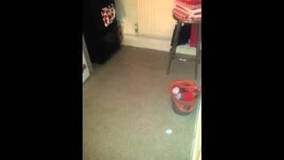 REAL ORB A MUST WATCH AMAZING ORB EVIDENCE