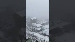 Tosh village Himachal Pradesh state of India
