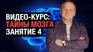 Курс "Тайны мозга человека" (занятие 4) | Мужчина и Женщина