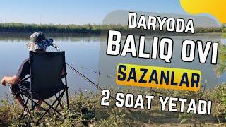 BALIQ OVI Sirdaryoda 2 soatlik OV mazza qildim  2024.05.31#fishing #carpfishing #carp