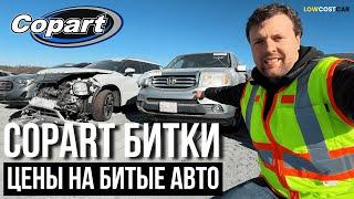 Обзор Битков на Copart | Цены на Аукционе в США 2025 | Авто из США | Доставка по Всему Миру