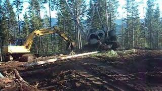 Forest service thinning, swing yarder #logging #world #job