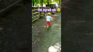 Убежала#shorts