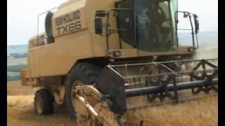 Claas 570 Lexion and New Holland TX66 combines