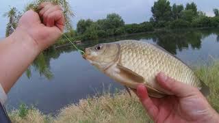 Рыбалка с ночевкой на карася карпа в дикой протоке. OnlyFishing