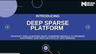 Introducing the Deep Sparse Platform: Sparsify Deep Learning Models to Run on CPUs on GPU Speeds.