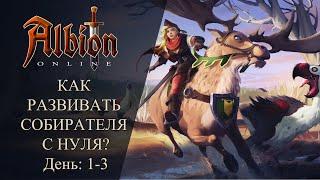 Albion online : КАК РАЗВИВАТЬ СОБИРАТЕЛЯ С НУЛЯ? День : 1- 3