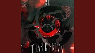 TRASIG SKIVA