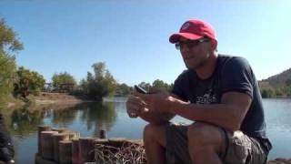 Frank answers fan questions part 1