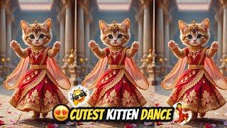 Cute Cat videos funny dance  Videos for cats | बिल्ली डांस | Funny cats #funny #dancingcat #cat