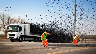 Most Ridiculous Worker Mistakes Caught on Camera