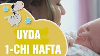 BOLA BILAN UYDA 1 -CHI HAFTA