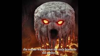 Minecraft NETHER in Real Life...