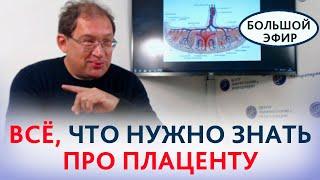 Плацента: как это работает? Всё, что важно знать про плаценту. Гузов И.И.