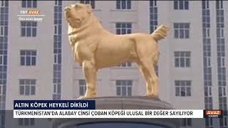 Türkmenistan'da Altın Köpek Heykeli Dikildi-TRT AVAZ HABER-13.11.2020