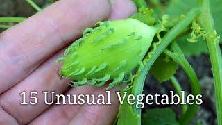 15 Unusual Vegetables & Edibles