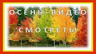 ОСЕНЬ ВИДЕО - СМОТРЕТЬ!  Осенняя природа - осенняя краса