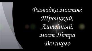 Три моста: Троицкий, Литейный, мост Петра Великого