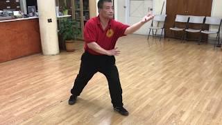 Yang Fukui does Yang Cheng Fu's 13 Original Postures.