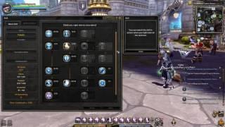 Dragon Nest Europe lv90 Crusader PVE Skill Build