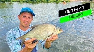 ЛОВЛЯ ЛЕЩА НА ФИДЕР / РЫБАЛКА НА РЕКЕ / FROS FISHING