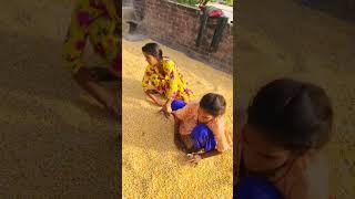 #LaxmiKumari #cooking #VairalShortVideo #villageCooking #shortsvideo