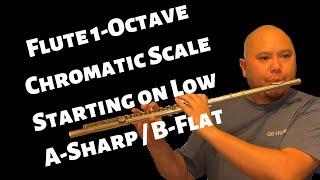 Flute Chromatic Scale 1-Octave Low A#