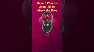 Me and Phoenix