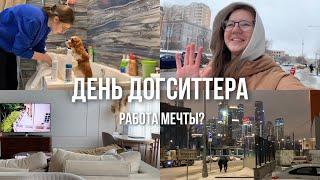 Как я живу с собаками и зарабатываю на этом? | Плюсы и минусы догситтерства | влог