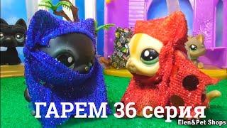 LPS: Гарем 36 серия